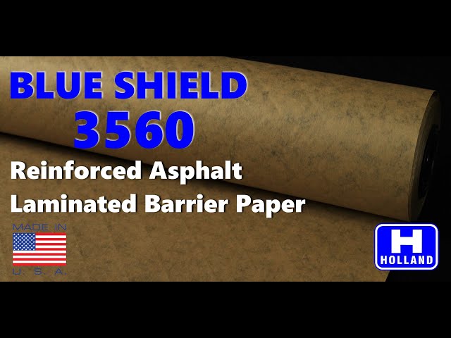 Blue-Shield-3650